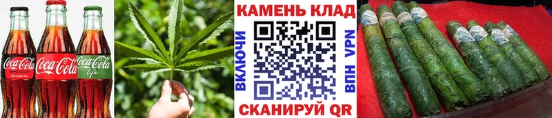 Купить Данилов Cannafood конопля