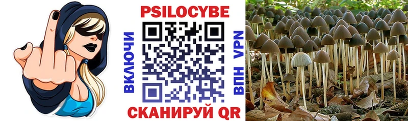 Галлюциногенные грибы GOLDEN TEACHER  Купить где  Данилов 